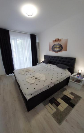 Apartament David
